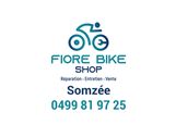 Fiore Bike